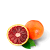Red Sicilian Oranges
